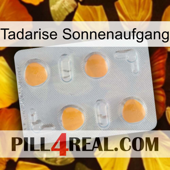 Tadarise Sunrise 24.jpg